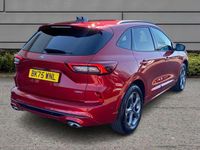 Usado Ford Kuga ST-Line 239 CV (175 kW) 2025 Rojo SUV