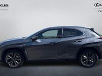 Used Lexus UX Sport Line 184 HP (135 kW) 2021 Grey SUV