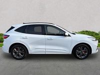 Used Ford Kuga ST-Line 190 HP (139 kW) 2023 White SUV