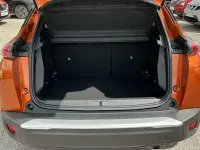 Used Peugeot 2008 Active+ 101 HP (74 kW) 2023 Orange SUV