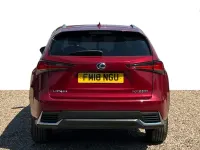 Used Lexus NX300h Luxury Line 194 HP (142 kW) 2018 Red SUV