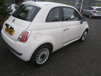 Used Fiat 500 Lounge 69 HP (50 kW) 2014 White Hatchback