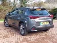 Used Lexus UX 150 kW (204 HP) 2024 Grey SUV