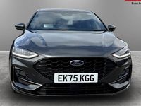 Used Ford Focus ST-Line X 155 HP (114 kW) 2024 Hatchback