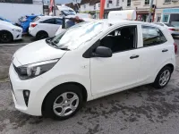 Used Kia Picanto 66 HP (48 kW) 2019 White Hatchback