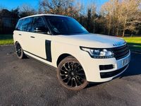 Used Land Rover Range Rover Vogue 2015 White SUV