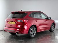 Used Ford Kuga ST-Line 150 HP (110 kW) 2022 Red SUV