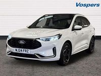Used Ford Kuga ST-Line X 150 HP (110 kW) 2024 White SUV