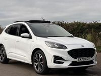 Used Ford Kuga ST-Line X 120 HP (88 kW) 2021 White SUV