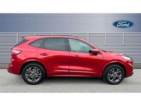Used Ford Kuga ST-Line 221 HP (162 kW) 2023 Red SUV