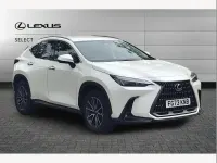Used Lexus NX350h 245 HP (180 kW) 2023 White SUV