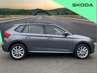 Used Skoda Kamiq SE 113 HP (83 kW) 2025 Grey SUV