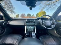 Used Land Rover Range Rover Vogue SE 2019 Grey SUV