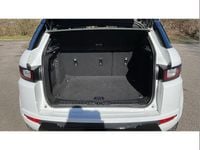 Used Land Rover Range Rover evoque HSE Dynamic 180 HP (132 kW) 2019 White SUV