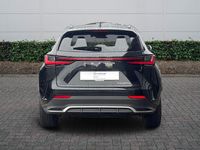 Used Lexus NX350h Sport Line 2023 Graphite black SUV