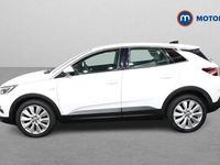 Used Vauxhall Grandland X Elite 131 HP (96 kW) 2020 White SUV