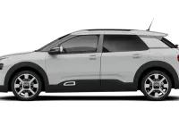 Used Citroën C4 Cactus Origins 110 HP (80 kW) 2019 Hatchback
