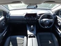 Used Citroën C5 PureTech 131 HP (96 kW) 2024 Grey Hatchback