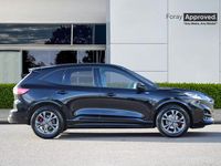 Usado Ford Kuga ST-Line 2023 Negro SUV