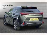 Used Lexus UX 250h Sport Design Packet 184 HP (135 kW) 2023 Green SUV