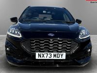 Used Ford Kuga ST-Line X 224 HP (164 kW) 2023 SUV