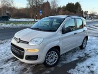 Used Fiat Panda Easy 69 HP (50 kW) 2014 Beige Hatchback