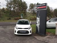 Begagnad Kia Picanto 66 HK (48 kW) 2023 Vit Halvkombi
