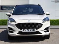 Used Ford Kuga ST-Line X 190 HP (139 kW) 2022 White SUV