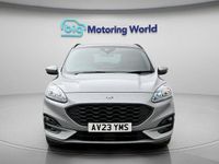 Used Ford Kuga ST-Line X 190 HP (139 kW) 2023 SUV