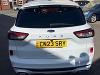Used Ford Kuga ST-Line 150 HP (110 kW) 2023 White SUV