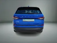 Used Skoda Kodiaq SE Drive 110 HP (80 kW) 2023 Energy blue SUV