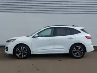 Used Ford Kuga ST-Line X 150 HP (110 kW) 2023 White SUV