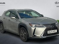 Used Lexus UX 300h 199 HP (146 kW) 2026 SUV