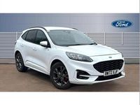 Used Ford Kuga ST-Line 150 HP (110 kW) 2023 White SUV