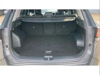Used Kia Sportage 226 HP (166 kW) 2023 Other SUV