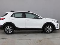 New Kia Stonic 2025 White SUV