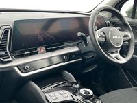 Used Kia Sportage 209 HP (153 kW) 2024 Green SUV