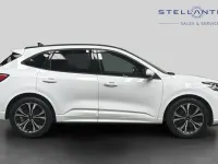 Used Ford Kuga ST-Line X 187 HP (137 kW) 2023 White SUV