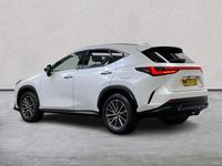 Used Lexus NX350h 2023 White Estate
