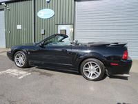 used Ford Mustang g