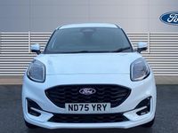 New Ford Puma ST-Line X 125 HP (91 kW) 2026 SUV