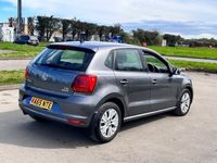 used VW Polo 1.2 TSI SE 5dr DSG