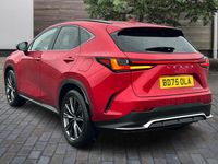 Used Lexus NX450h+ Sport Line 2025 Red SUV