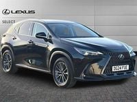 Used Lexus NX350h 244 HP (179 kW) 2024 Graphite black SUV