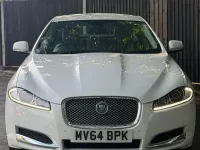 Used Jaguar XF Luxury 2014 White Sedan
