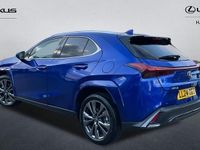 Used Lexus UX 300h Sport Line 2024 Blue SUV