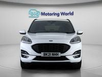 Used Ford Kuga ST-Line 120 HP (88 kW) 2021 White SUV