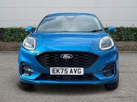 New Ford Puma ST-Line X 125 HP (91 kW) 2026 SUV