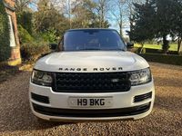 Used Land Rover Range Rover Vogue SE 339 HP (249 kW) 2016 White SUV