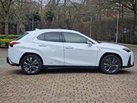 Used Lexus UX 250h Sport Line 2022 White SUV